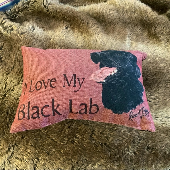 Other - I love my black lab pillow.  Very cute decor celebrating Labradors